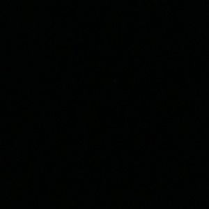 Meet your Posher, Rose